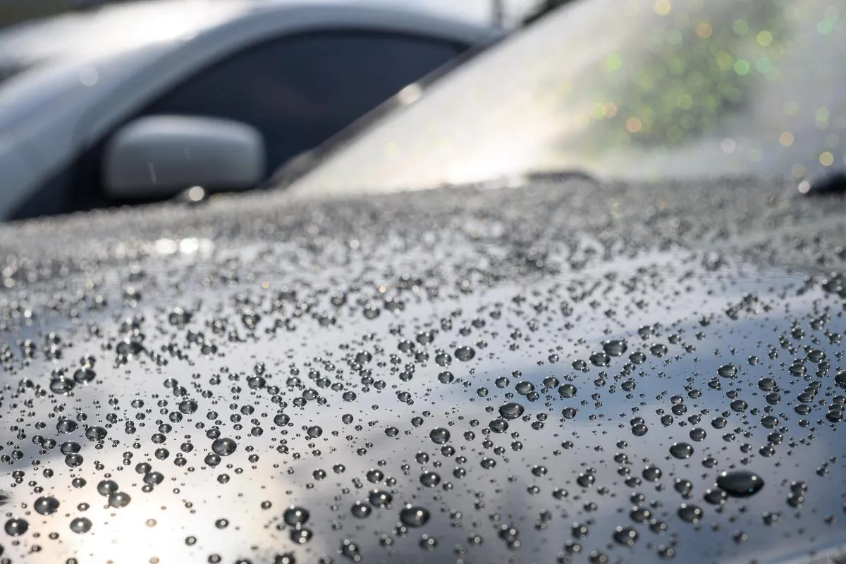 Krieger Detailing - High-End Fahrzeugaufbereitung
